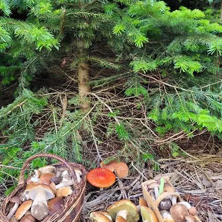 Ostsee Insel Misdroy *