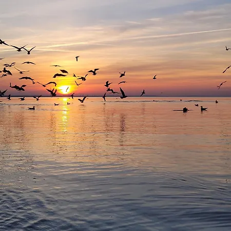 Ostsee Insel Misdroy شقة
