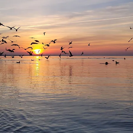 Ostsee Insel Misdroy Apartment