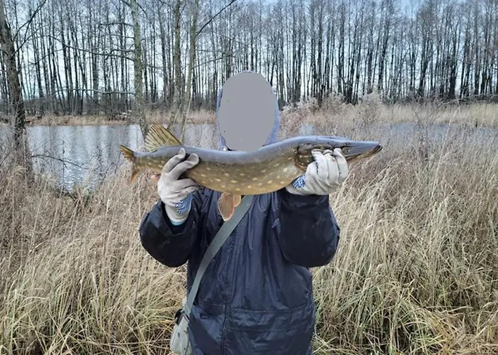 Ostsee Insel Misdroy Apartment Wolin