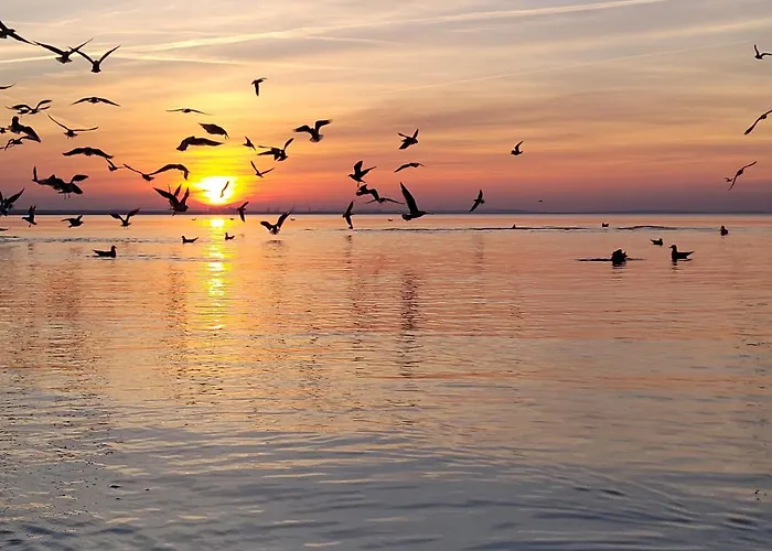 Ostsee Insel Misdroy Apartment