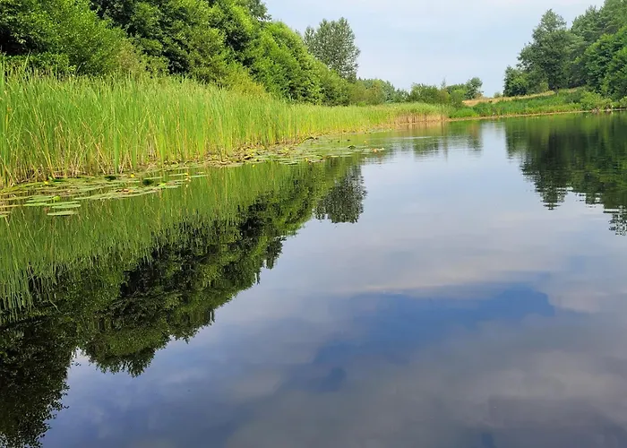 公寓 Ostsee Insel Misdroy 沃林
